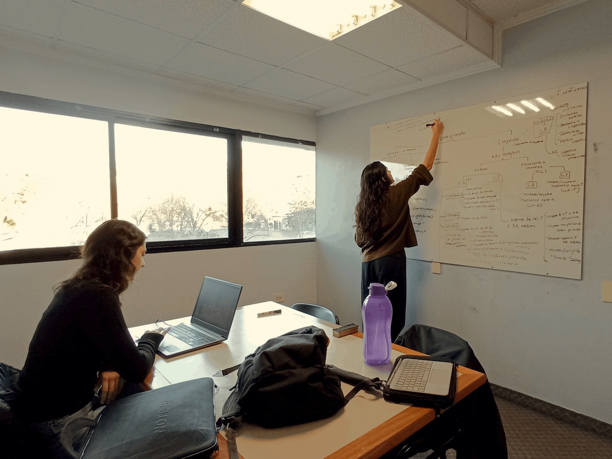 Sala de estudio grupal, dos chicas estudian, una sentada con su compu, otra escribiendo en el pizarrón.